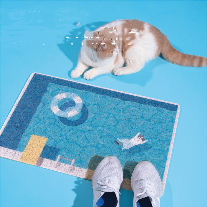 Cat Rubbing Swimming Pool Sand Basin
