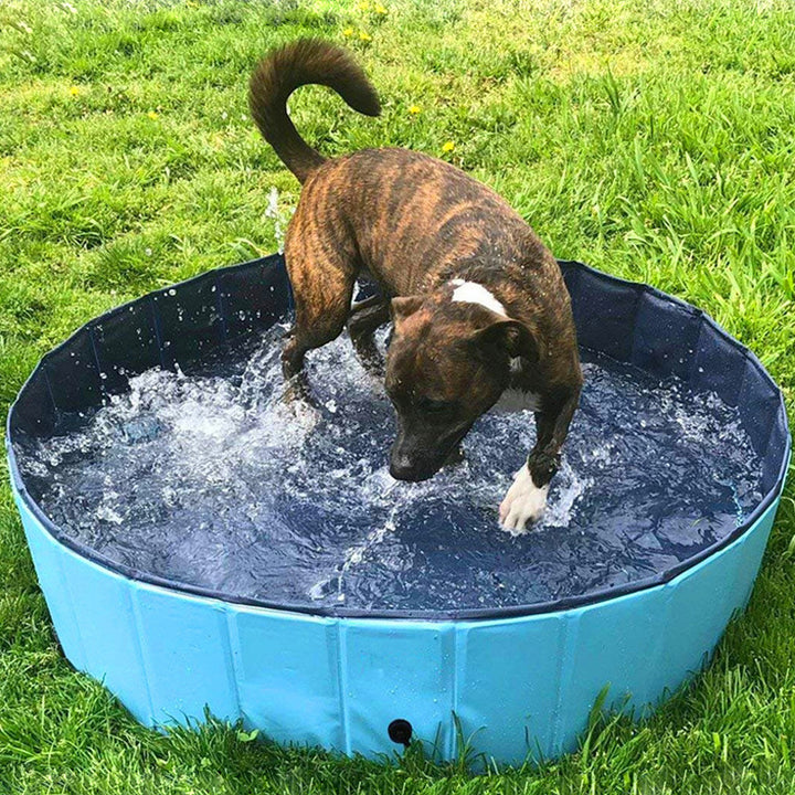 Foldable Dog Pool Pet Bath Swimming Tub Bathtub Outdoor Indoor Collapsible Bathing Pool For Dogs Cats Kids Pool