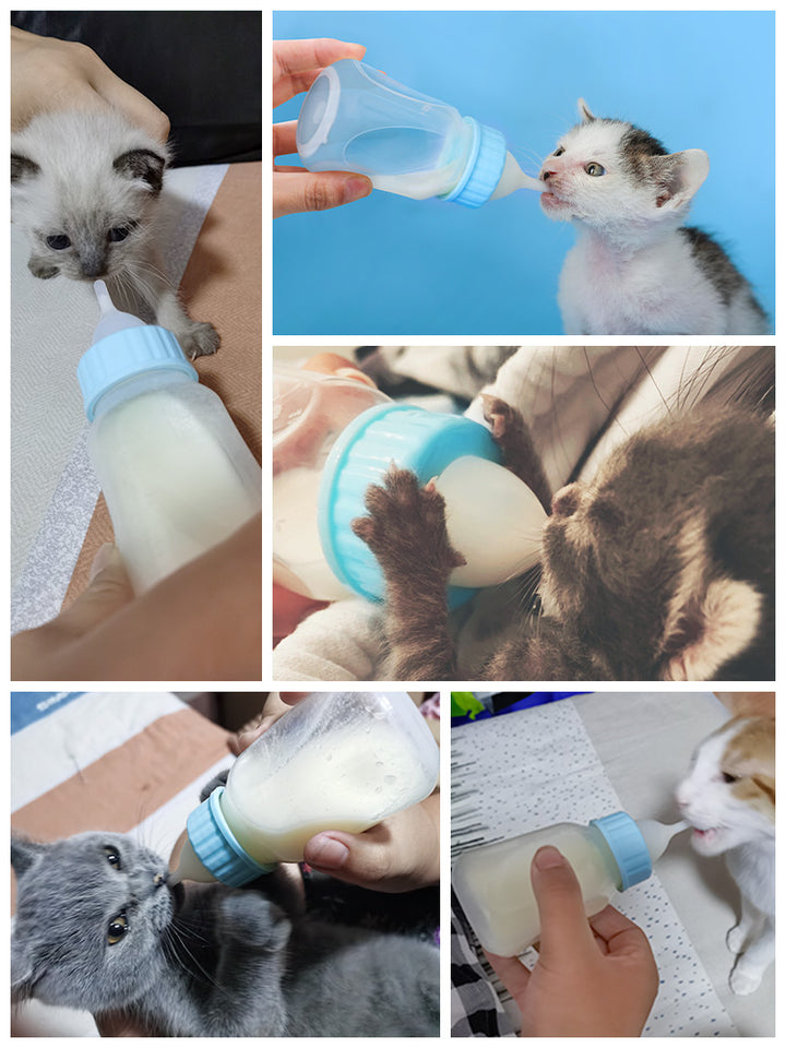 Cat Feeding Bottle Pet Dog Small Pacifier