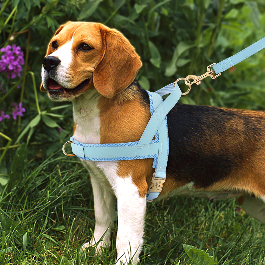 Personalized Dog Harness Leash Set