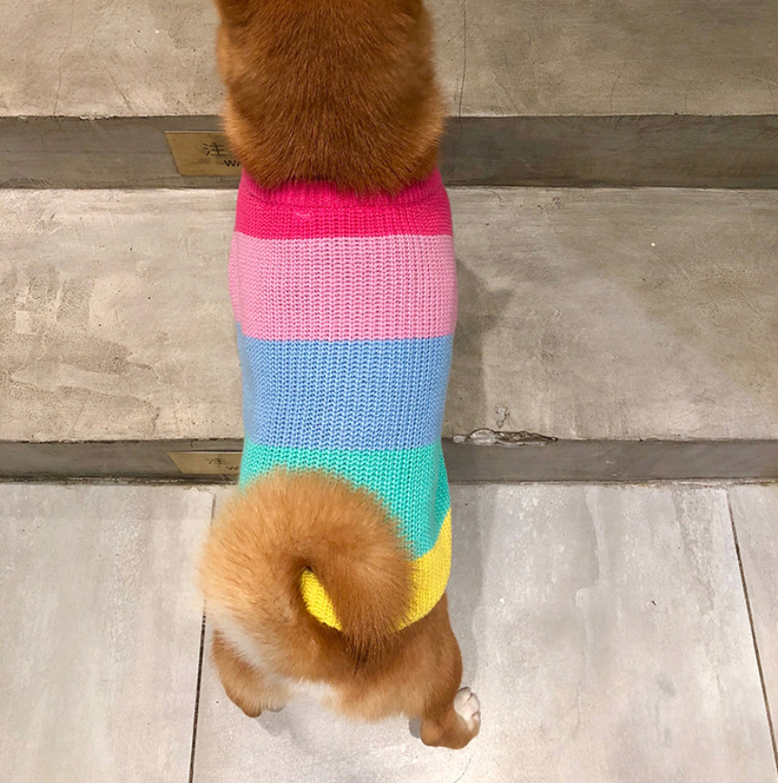 Rainbow sweater small dog puppies clothes