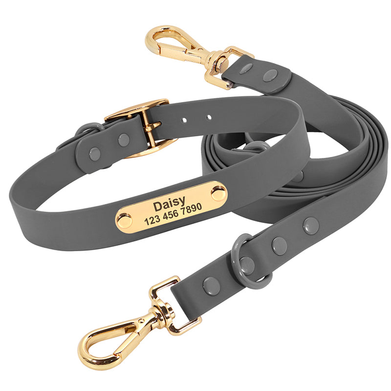 Collar Leash Medium Dog Teddy