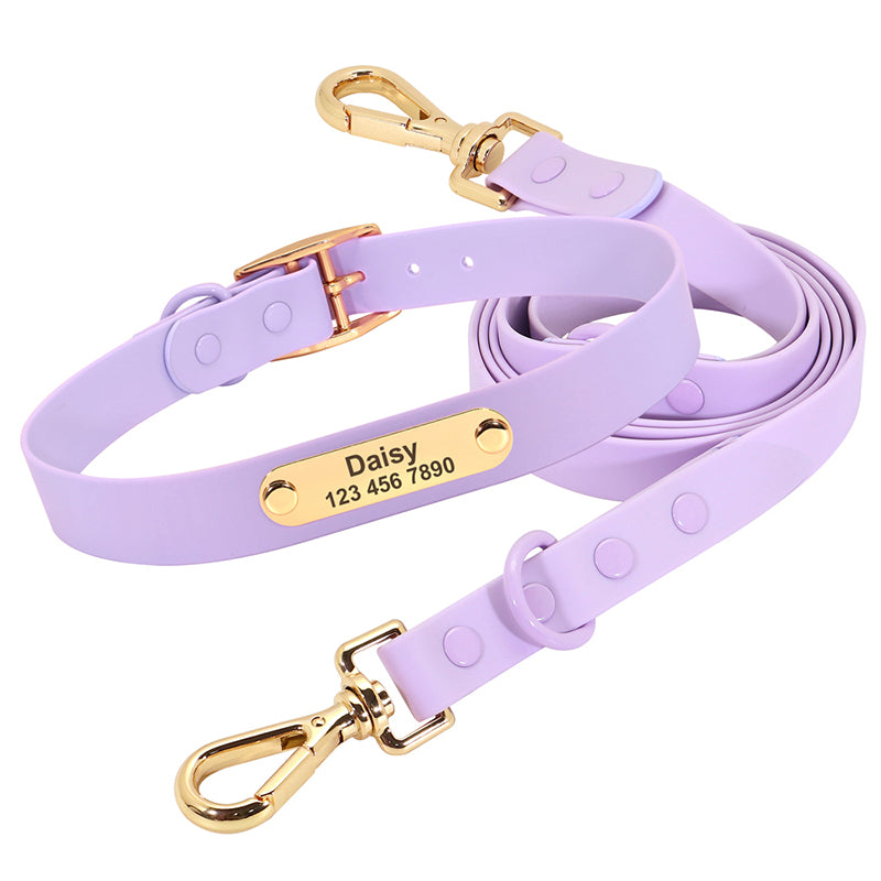 Collar Leash Medium Dog Teddy