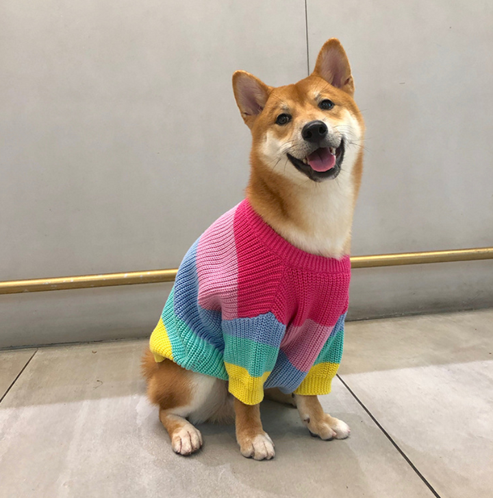 Rainbow sweater small dog puppies clothes