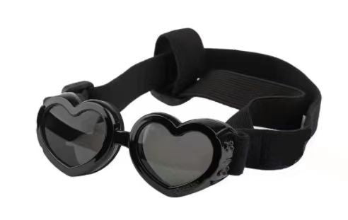 Pet Glasses Windproof Eye Protection