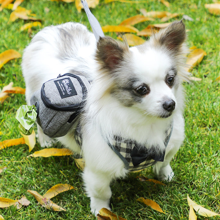 Fashion Personality Pet Supplies Dog Bag