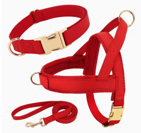 Personalized Dog Harness Leash Set