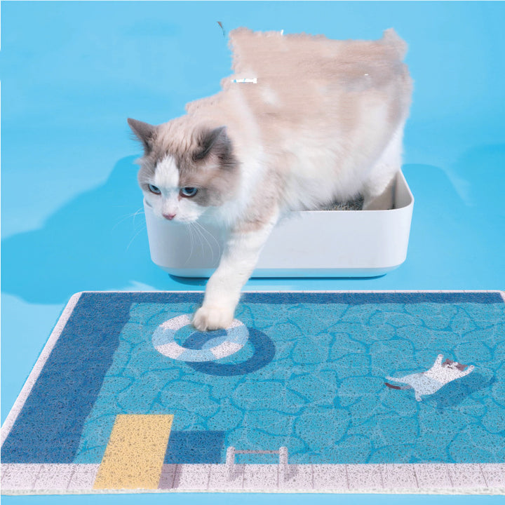 Cat Rubbing Swimming Pool Sand Basin